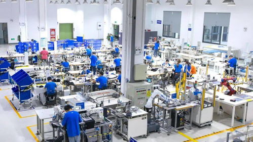 服裝行業(yè)里的“中央廚房” 柔性供應(yīng)鏈如何重塑社會經(jīng)濟(jì)咨詢服務(wù)